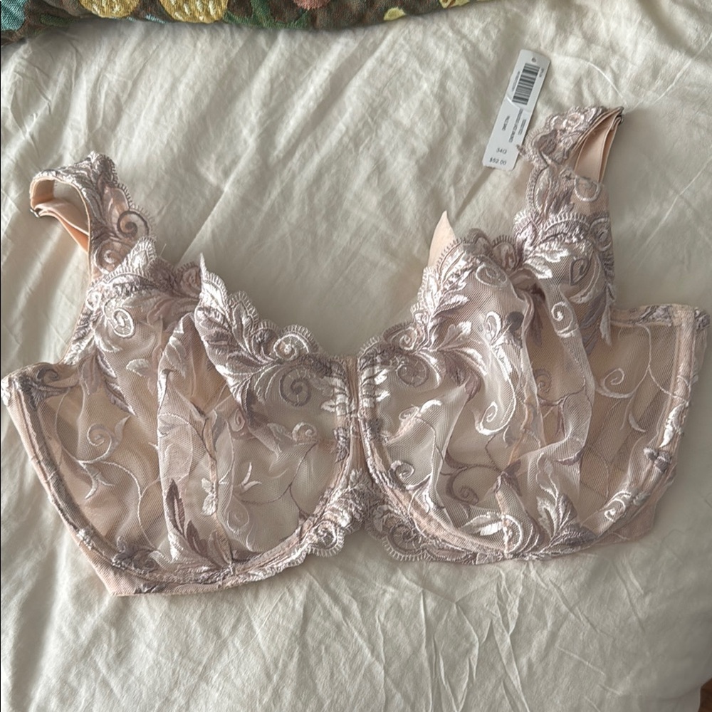 Elegant Lace Embroidered Bra